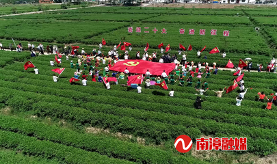 南漳实施“有机”战略 以有机稻谷种植研发引领农业高质高效发展