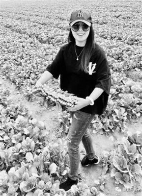 水头美女斥资五千万投身有机农业 跨界创业背后的情怀与远见