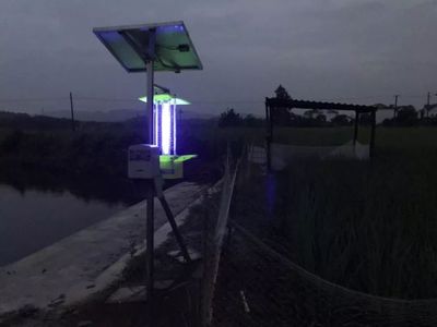 稻鸭共生、稻虾共育、蜂鸭联动 德安生态农业的绿色创新实践